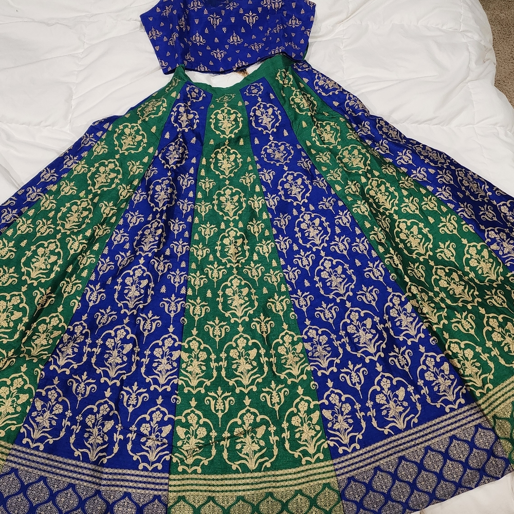 Blue and Green Patterned Lehenga - New  top and Like New skirt